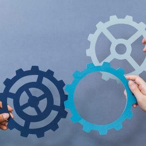 The Organizational Engine